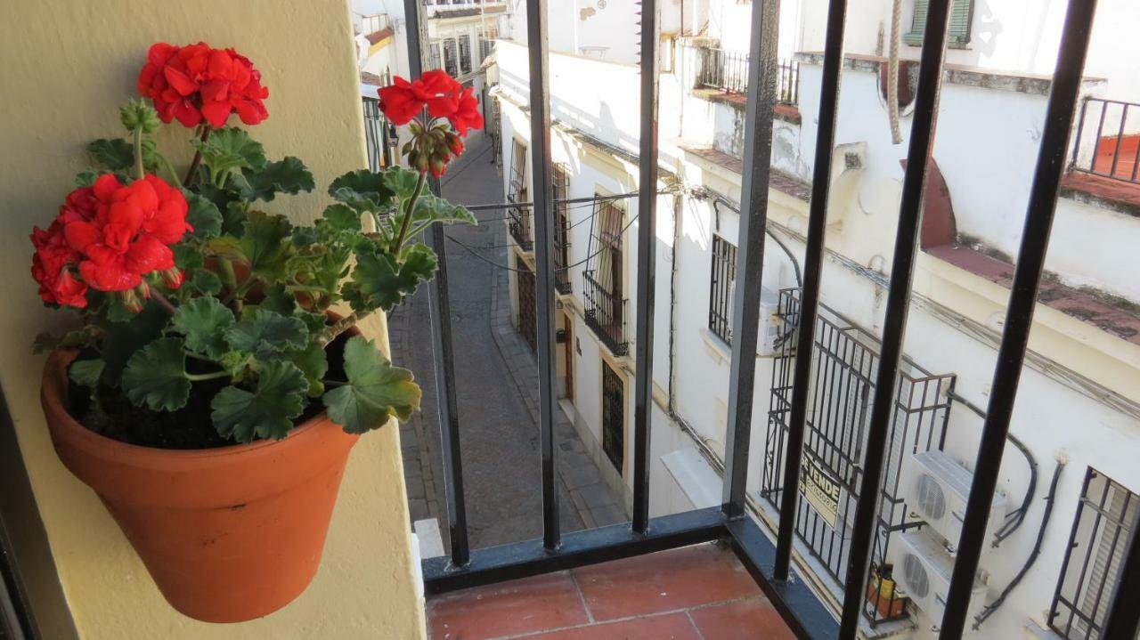 Patios De San Andres Cordoba Exterior photo